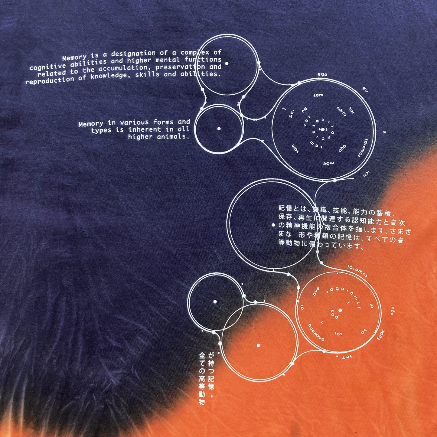 DYED - Memory