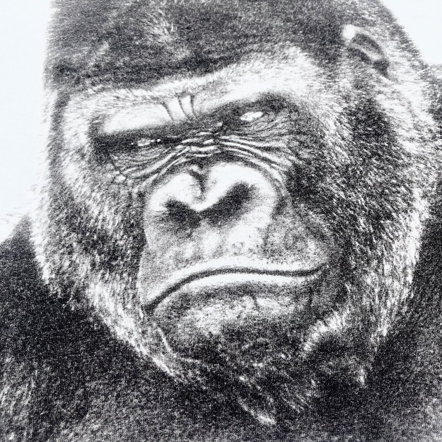 Gorilla