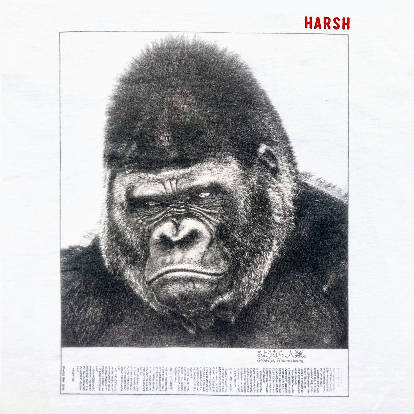 Gorilla